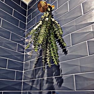 🌼 Limited Spring Sale on Eucalyptus Shower Bundle! 🌿